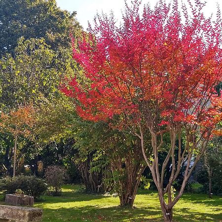 Villa La Demeure D'Ezilda Fléac-sur-Seugne Esterno foto