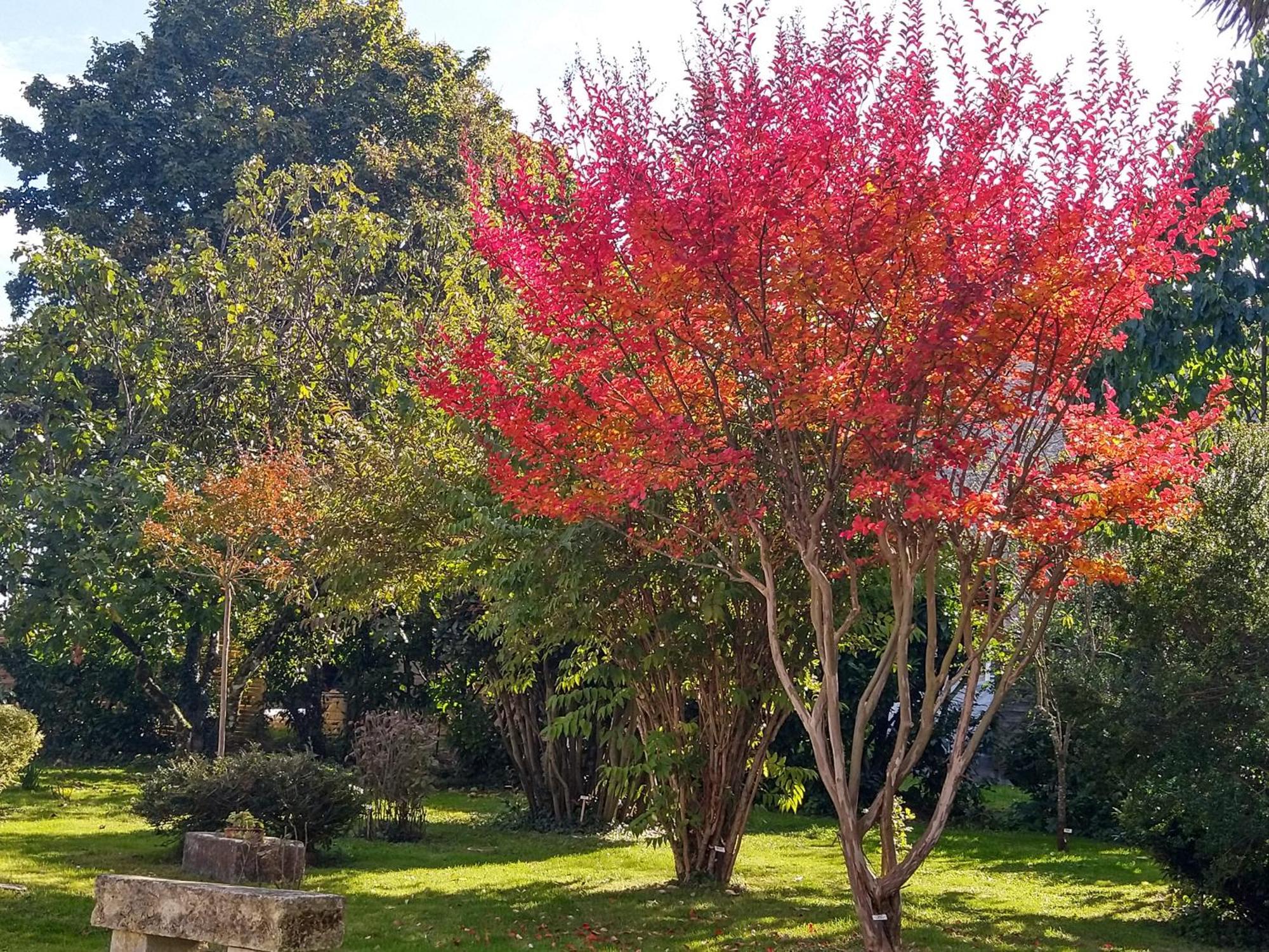 Villa La Demeure D'Ezilda Fléac-sur-Seugne Esterno foto