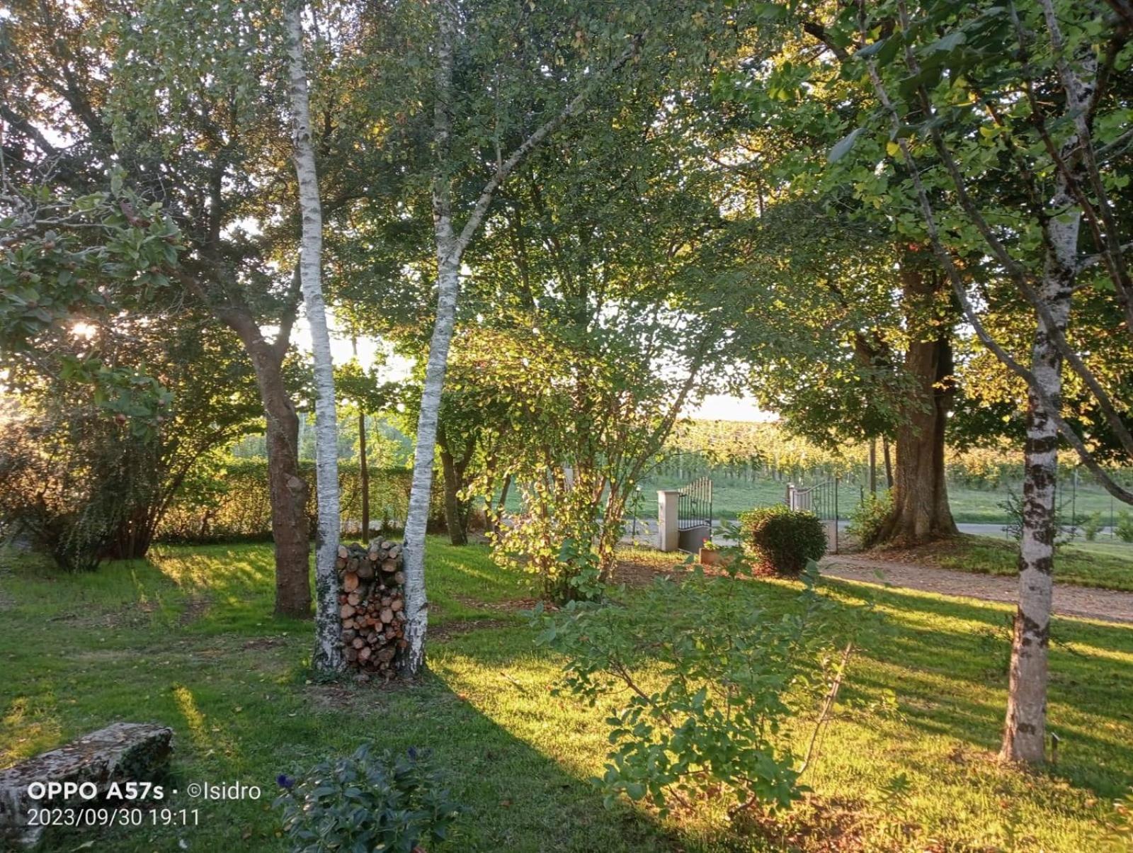 Villa La Demeure D'Ezilda Fléac-sur-Seugne Esterno foto